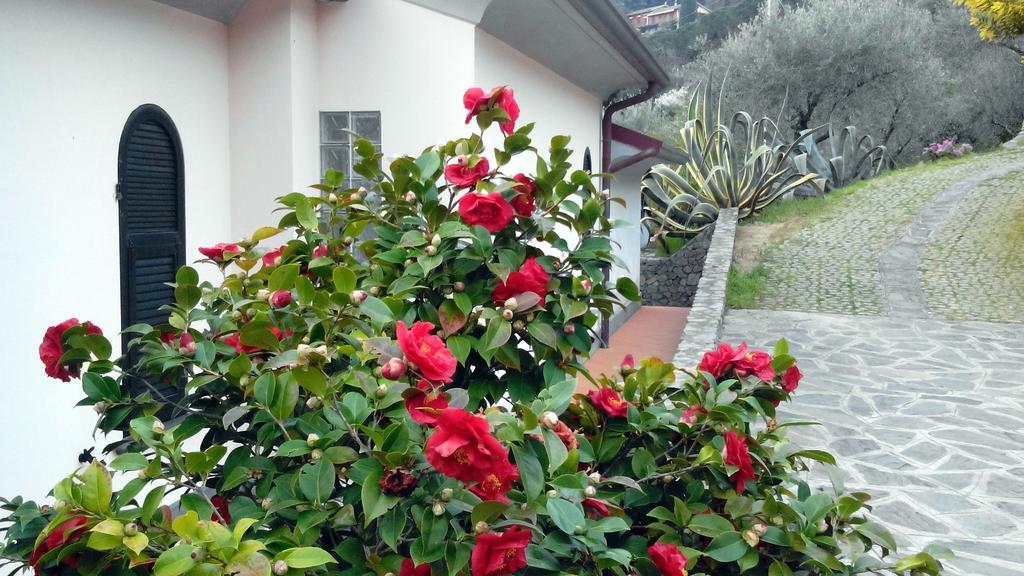 Villa Il Pettirosso Специя Номер фото